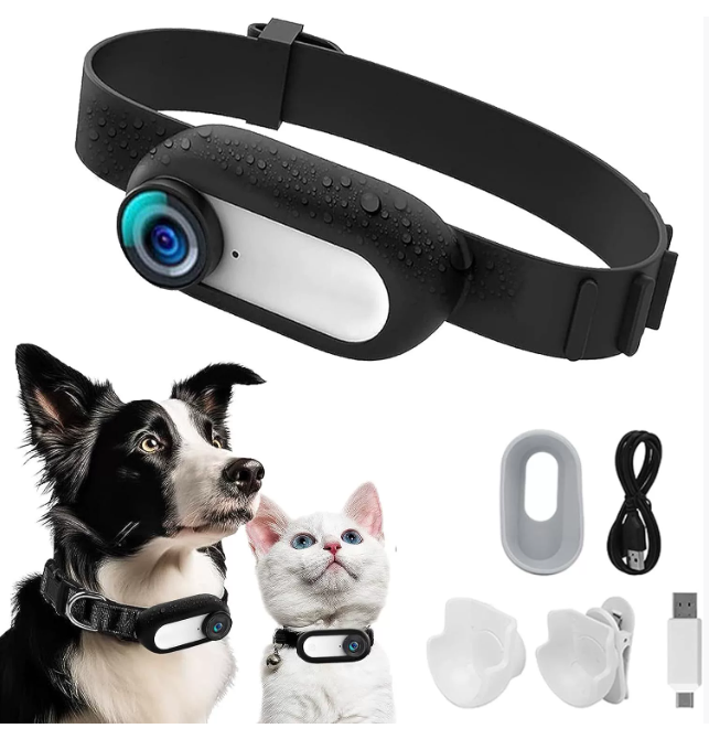 Трансграничные бестселлеры среди товаров для домашних животных: ошейники для кошек и собак, фотоаппараты, экшн-камеры, мини-видеокамеры для ношения на теле