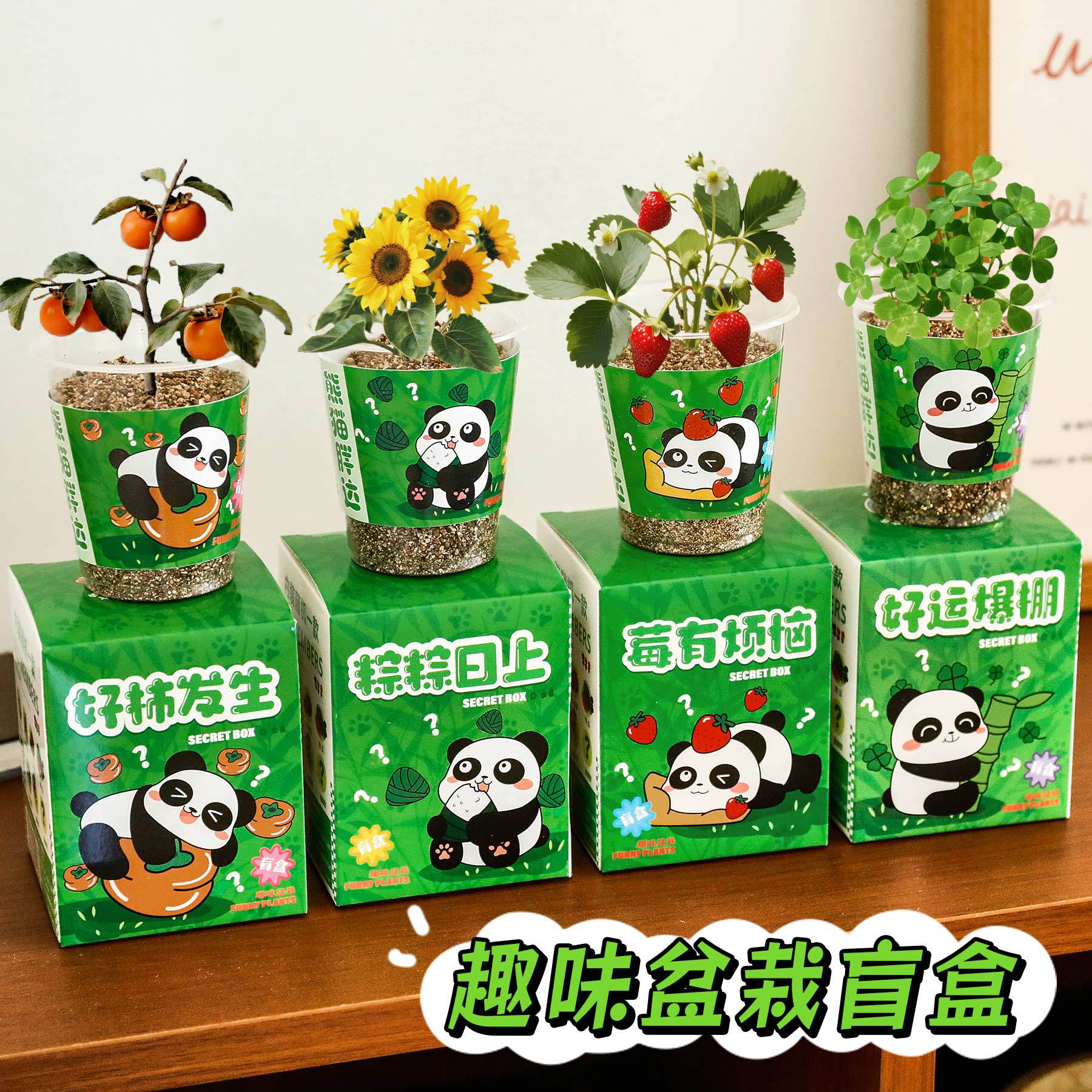 Детский мини-горшок с пандой Растение для школьников Настольная зелень Сюрприз Подарочная коробка Сезон возвращения в школу Творческий детский сад Подарок для дошкольников