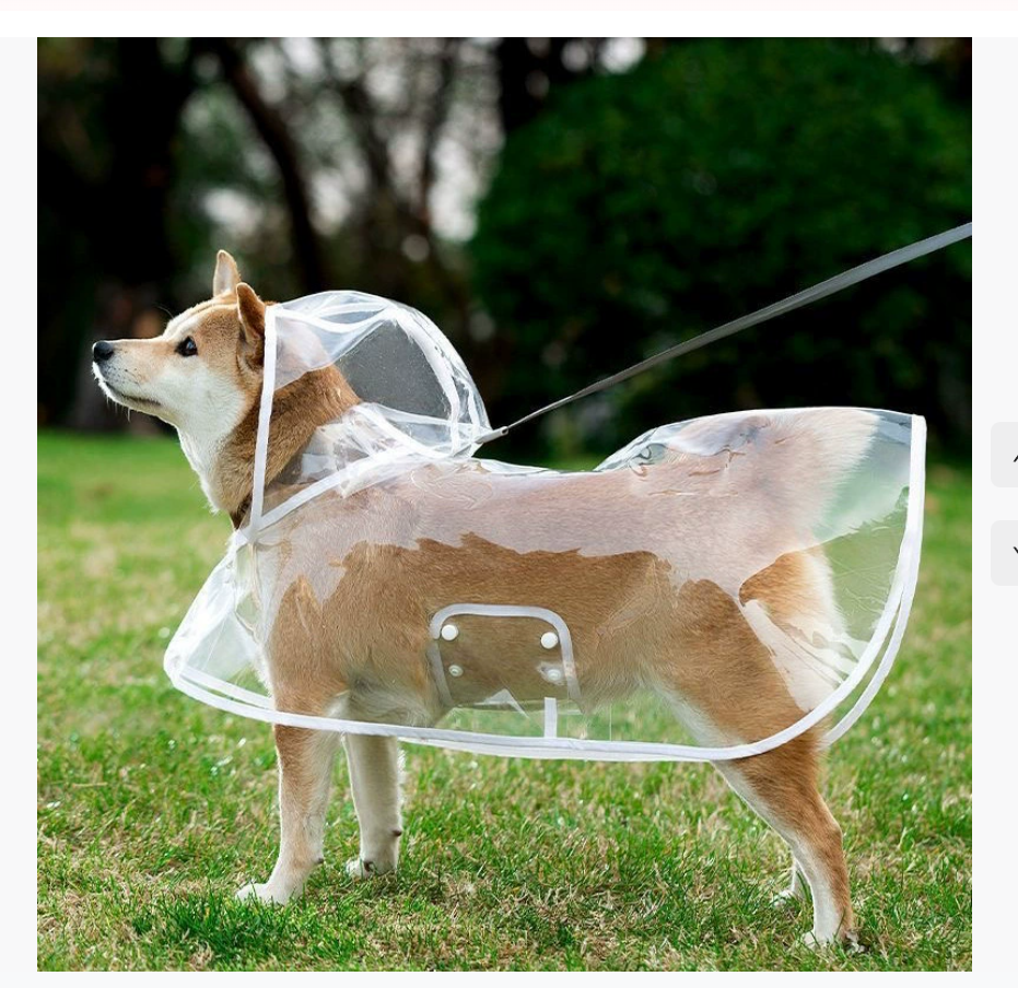 Дождевик для домашних животных - Прозрачный дождевик для собак Прямая оптовая продажа с доставкой Водонепроницаемая и ветрозащитная одежда для домашних животных крупных пород