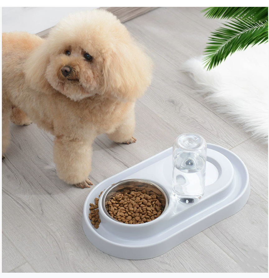 Миска для собак с защитой от опрокидывания Автоматическая миска для питьевой воды Миска для кошек Миска для кошек с защитой от намокания рта Миска для собак Миска для кошек Двойная миска Кормушка для собак