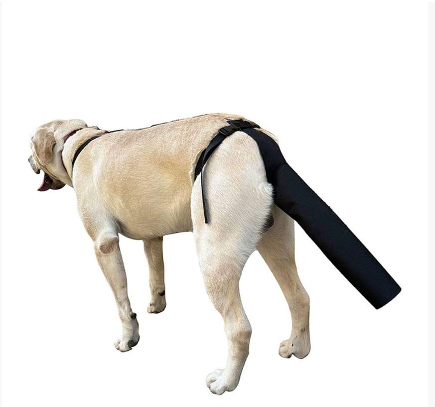 Трансграничный защитный чехол для хвоста домашней собаки, травмы, выпадение шерсти, уход за шерстью, защита от лизания и кусания, регулируемое защитное снаряжение