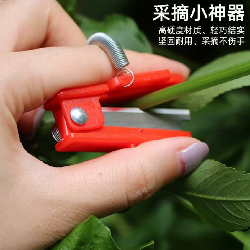 Нож для сбора фруктов и овощей Нож для обрезки винограда для обрезки побегов и усиков Нож для сбора листовых овощей Нож для сбора бобов и огурцов Нож для сбора мелких фруктов