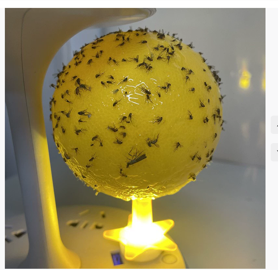 Светоизлучающая основа, привлекающая мух, липкая ловушка для насекомых, устройство для удаления плодовых мух и домашних мух, лампа для уничтожения насекомых в помещении, желтая